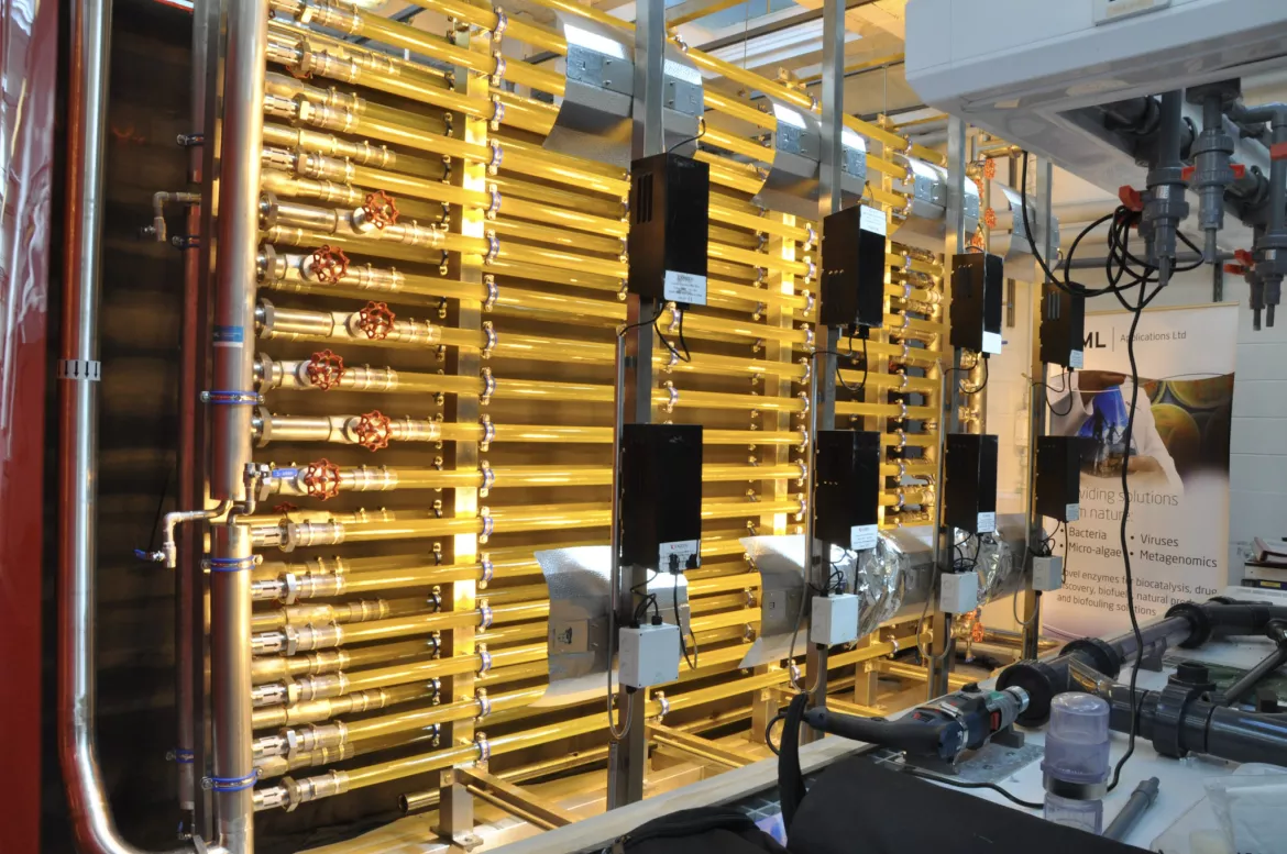 Industrial biotech cleanroom construction